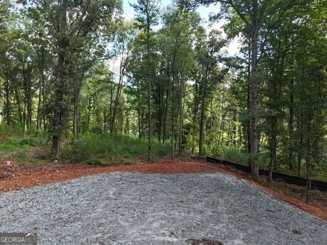 TRACT-9 - 0 Sanford Dr, Home with 0 bedrooms, 0 bathrooms and null parking in Nicholson GA | Image 7