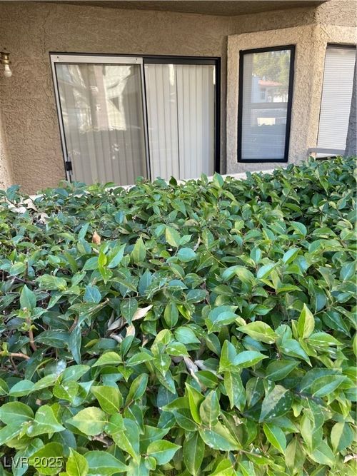 101-5038 S Rainbow Blvd, Las Vegas, NV, 89118-0916 | Card Image