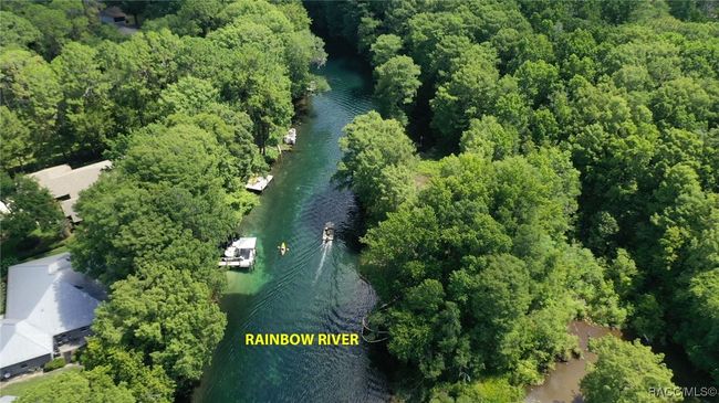 Rainbow River, Dunnellon | Image 9