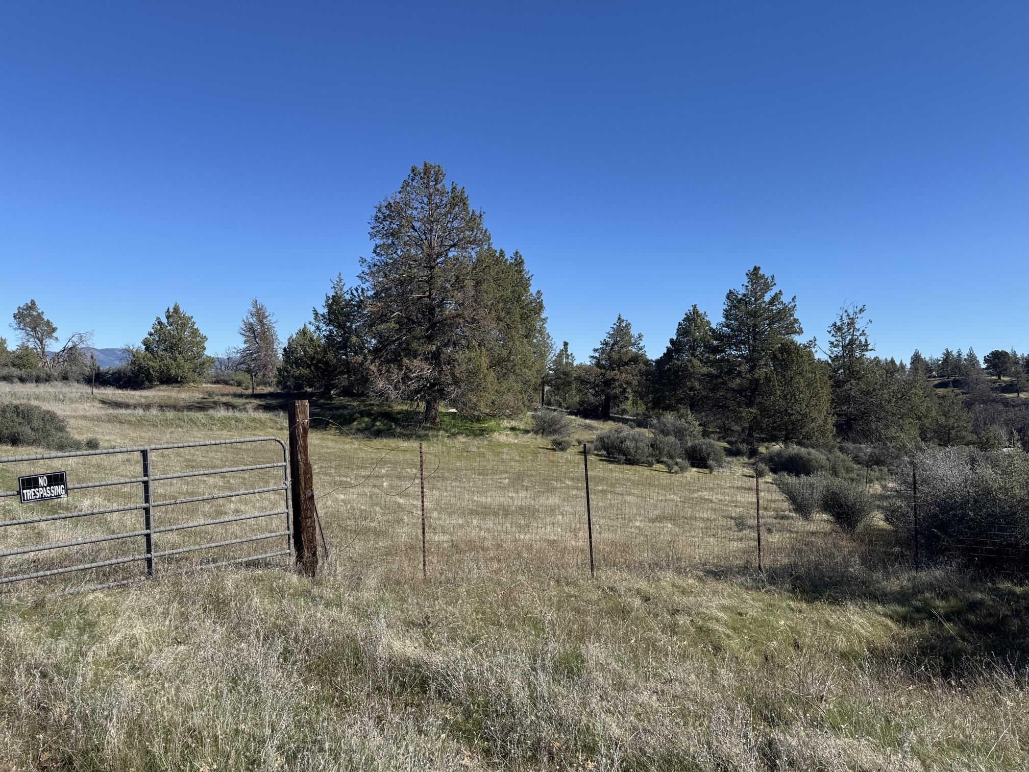 Land in Hornbrook 4