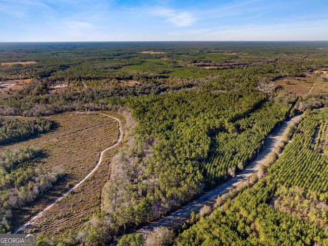 0 Highway 185, Home with 0 bedrooms, 0 bathrooms and null parking in Saint George GA | Image 4