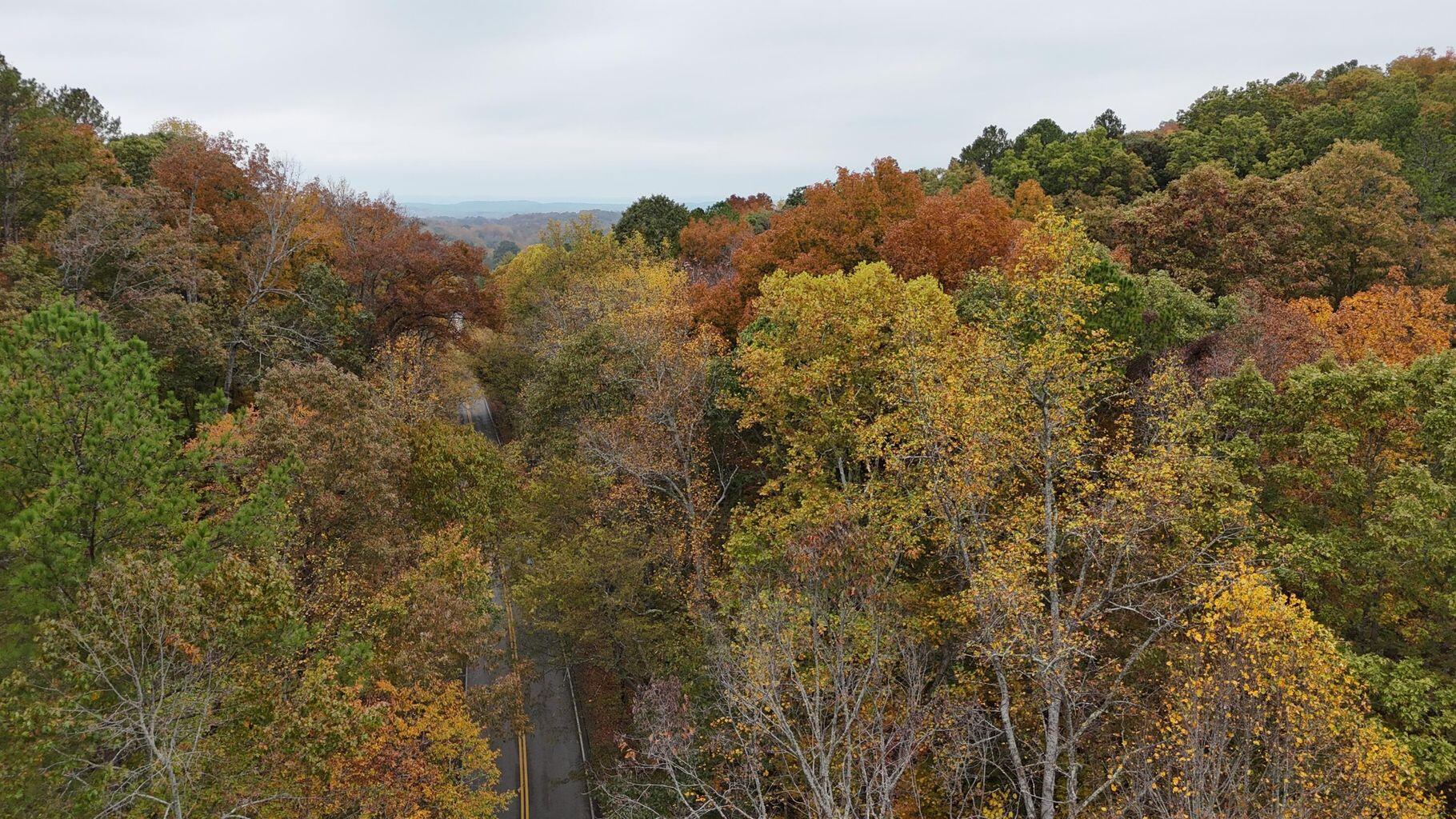 Land in Georgetown 4