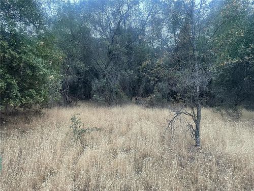 43020 Apache Ranch Rd, Ahwahnee, CA, 93601-9300 | Card Image