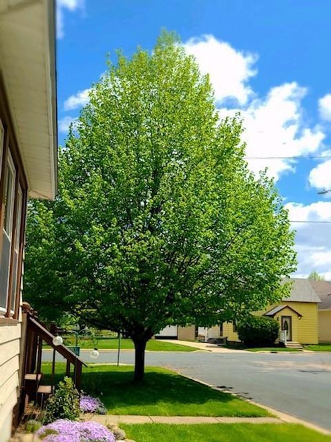 401 Howard St Nw, House other with 3 bedrooms, 2 bathrooms and null parking in Silver Lake MN | Image 26