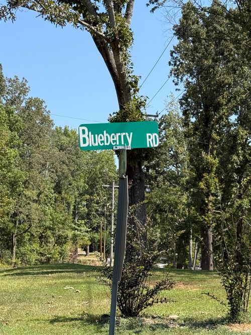 120 Blueberry Rd, Eads, TN, 38028-3089 | Card Image