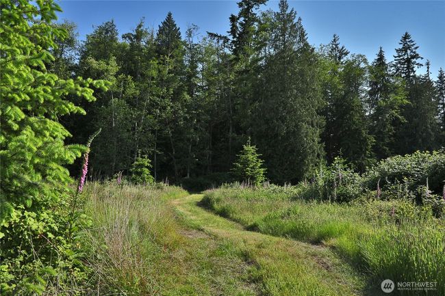 2062 Goodell Rd, Home with 0 bedrooms, 0 bathrooms and null parking in Freeland WA | Image 17