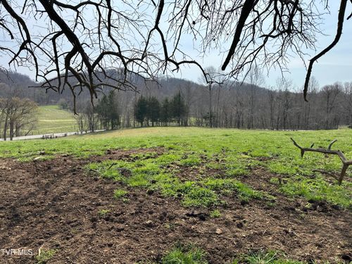 Lot 1 Old Snapps Ferry Rd, Chuckey, TN, 37641 | Card Image