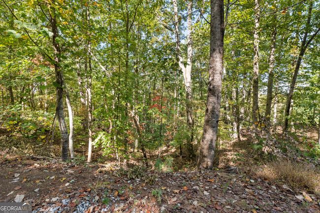 lot 2 Winterberry Lane, Home with 0 bedrooms, 0 bathrooms and null parking in Gainesville GA | Image 34