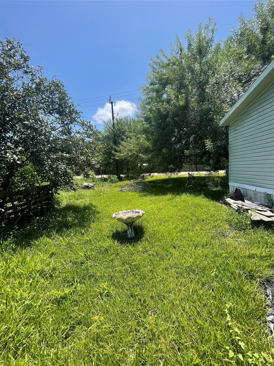 Land in Alvin 5