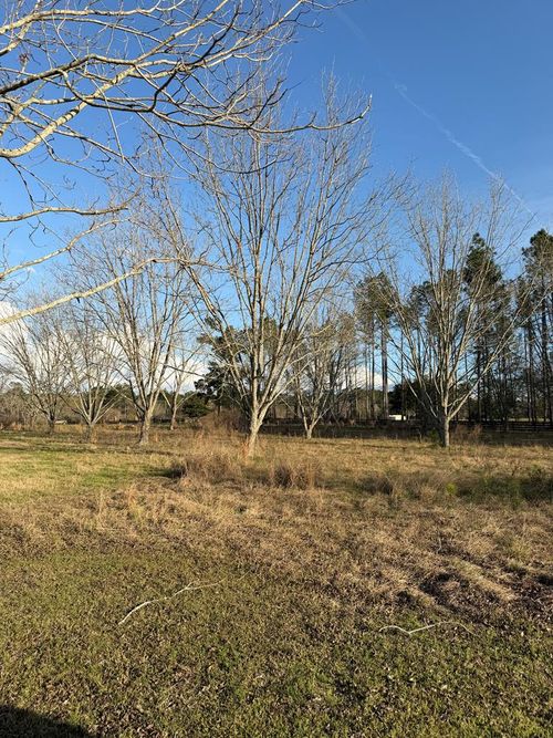 Lot #42 Lakeview Cir, Nashville, GA, 31639-6300 | Card Image