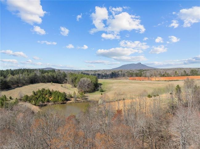 202 Roby Fulk Rd, House other with 3 bedrooms, 3 bathrooms and null parking in Pinnacle NC | Image 43