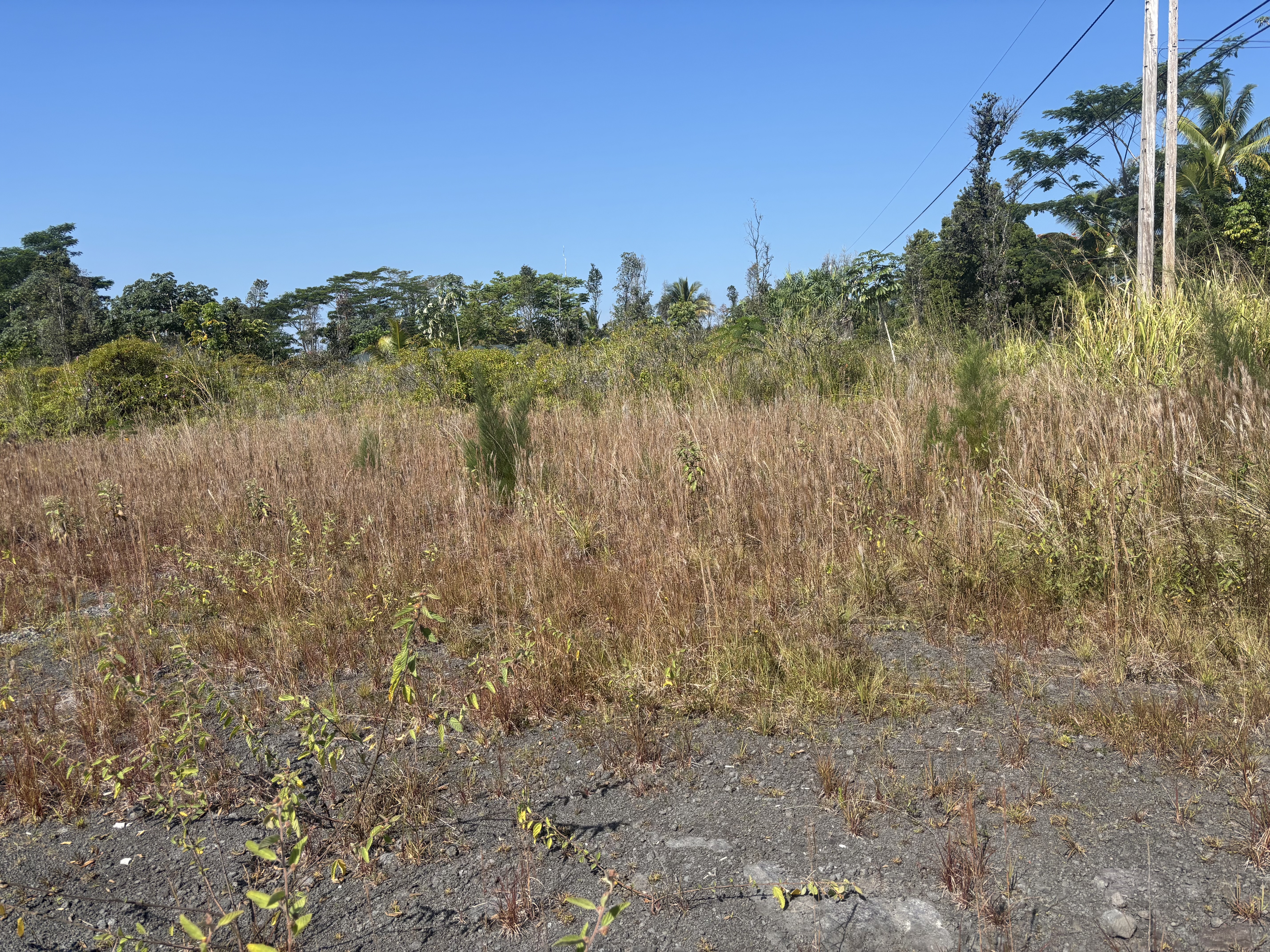 Land in Keaau 3