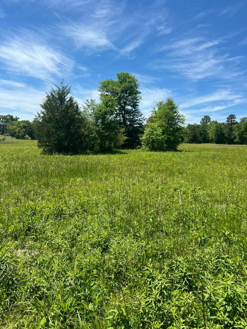 0 County Road 545, Englewood, TN, 37329 | Card Image