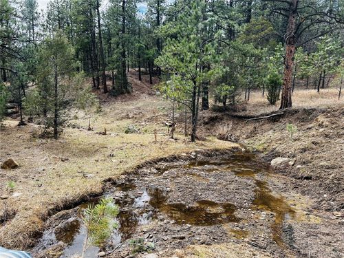 36 Left Hand Fork Rd, Weston, CO, 81091 | Card Image