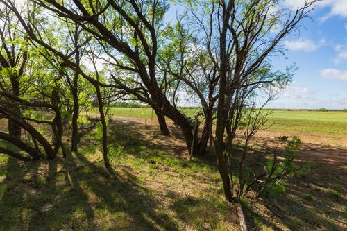 TBD Farm Market 600 Highway, Haskell, TX, 79521 | Card Image