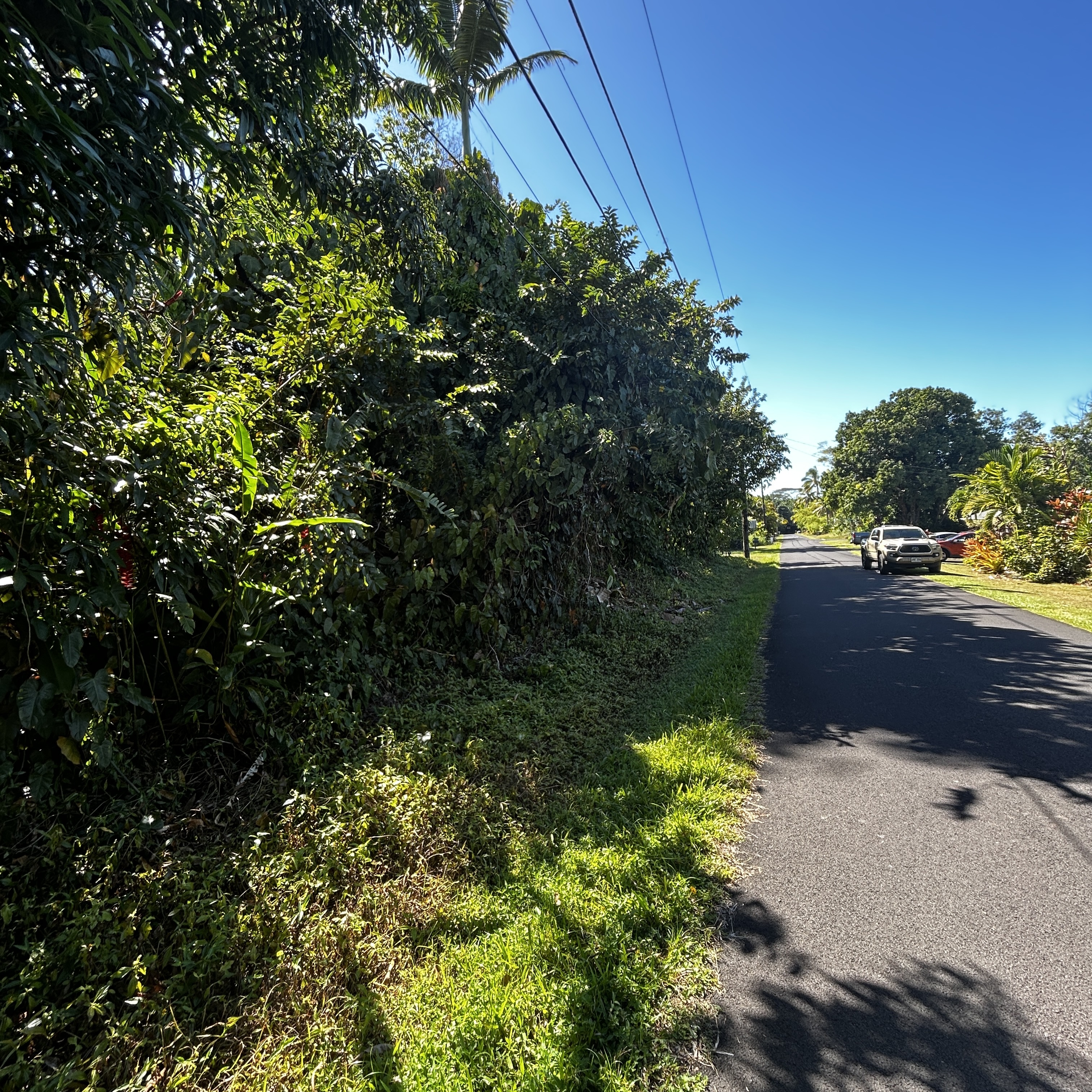 Land in Pahoa 2