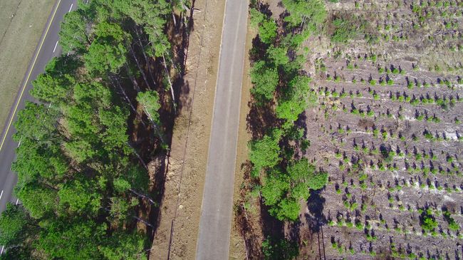 000 Three Notch Rd, Home with 0 bedrooms, 0 bathrooms and null parking in Monetta SC | Image 9