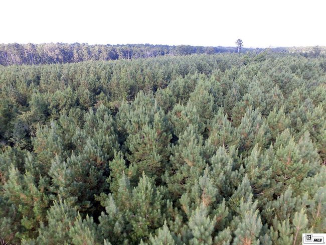 0 Tucker Store Rd, Home with 0 bedrooms, 0 bathrooms and null parking in Spearsville LA | Image 29