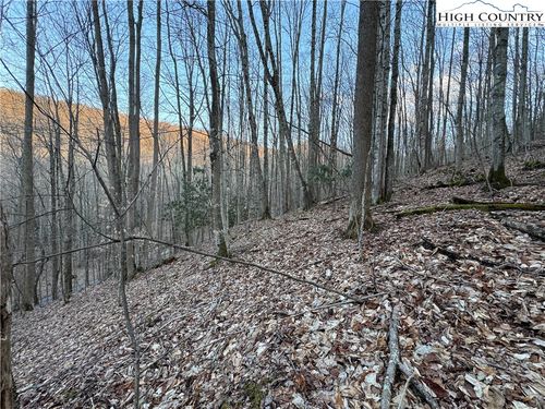 3 Buckeye Ridge Rd, Beech Mountain, NC, 28604 | Card Image