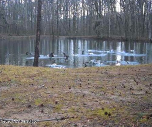 0 Country Church Road, Lamar, MS, 38642 | Card Image