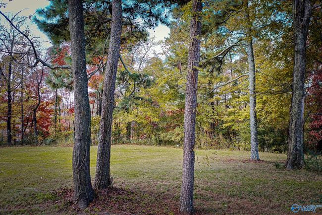 158 Bean Dr, Home with 0 bedrooms, 0 bathrooms and null parking in Union Grove AL | Image 6