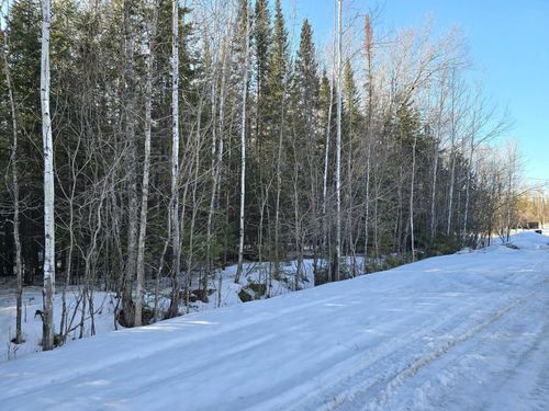 TBD 4th Avenue 22nd Street W, International Falls, MN, 56649 | Card Image