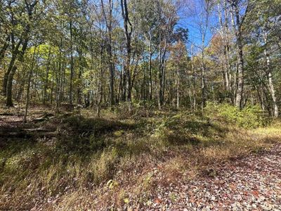 LOT-20-AUSTRIAN - 20 Rhododendron Drive, Home with 0 bedrooms, 0 bathrooms and null parking in Terra Alta WV | Image 1