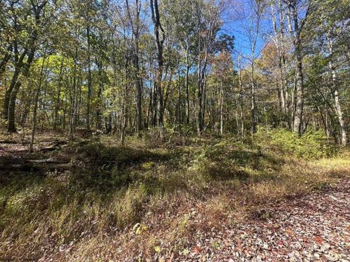 lot-20-austrian-20 Rhododendron Drive, Terra Alta, WV, 26764 | Card Image