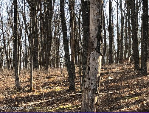 205 Cardinal Ct, Hawley, PA, 18428 | Card Image