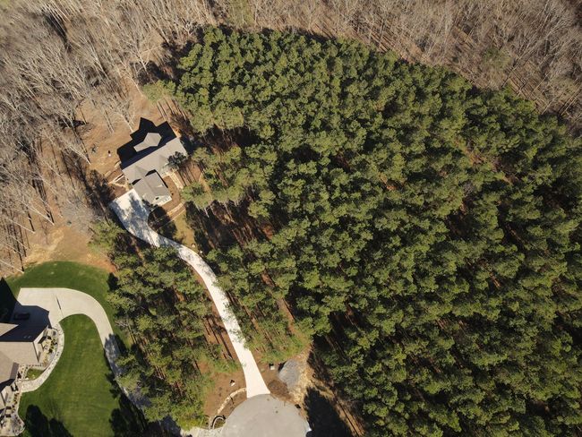 80 High Point Ln, Home with 0 bedrooms, 0 bathrooms and null parking in Jasper TN | Image 65