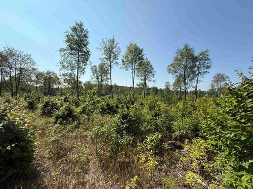 Parcel A 3 E Kasson Road, Kasson Township, MI, 49664 | Card Image
