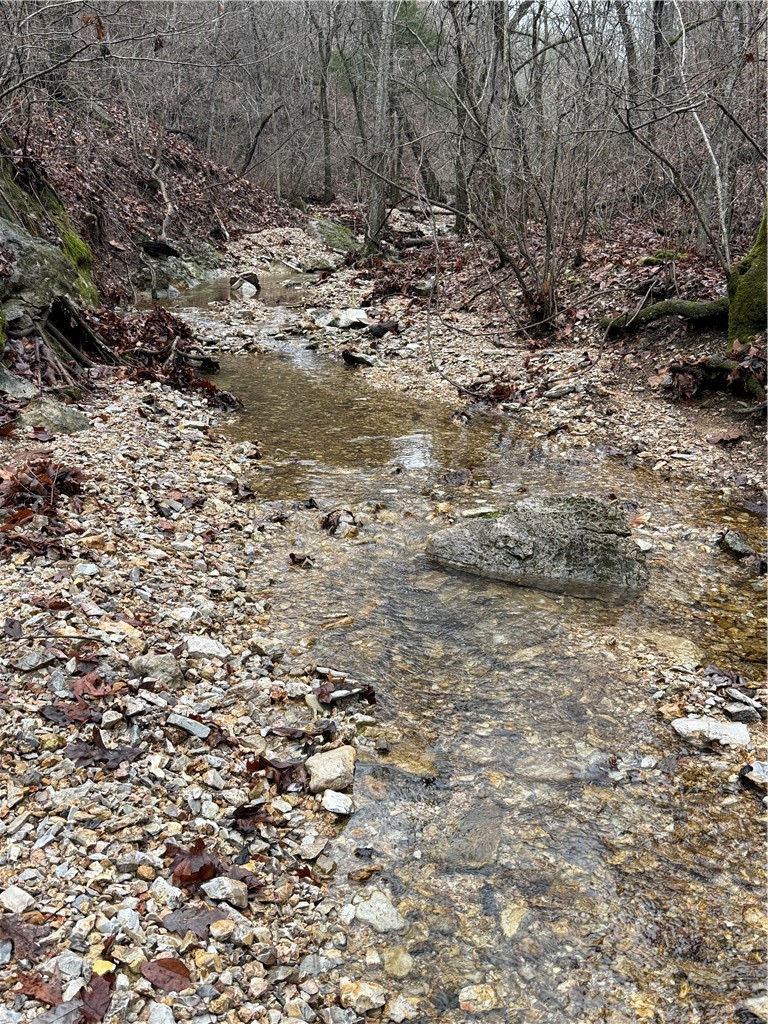 Land in Eureka Springs 5