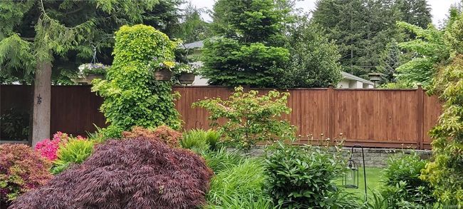 Summer Rendering | Image 59