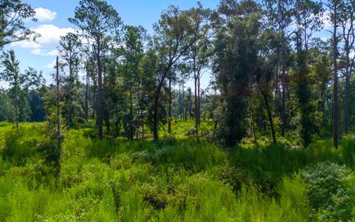 000 E County Road 349, O BRIEN, FL, 32071 | Card Image