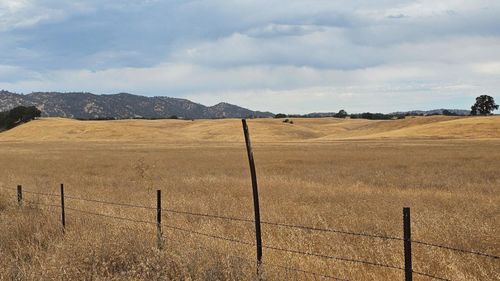 11 Country Ln, Dunnigan, CA, 95937 | Card Image