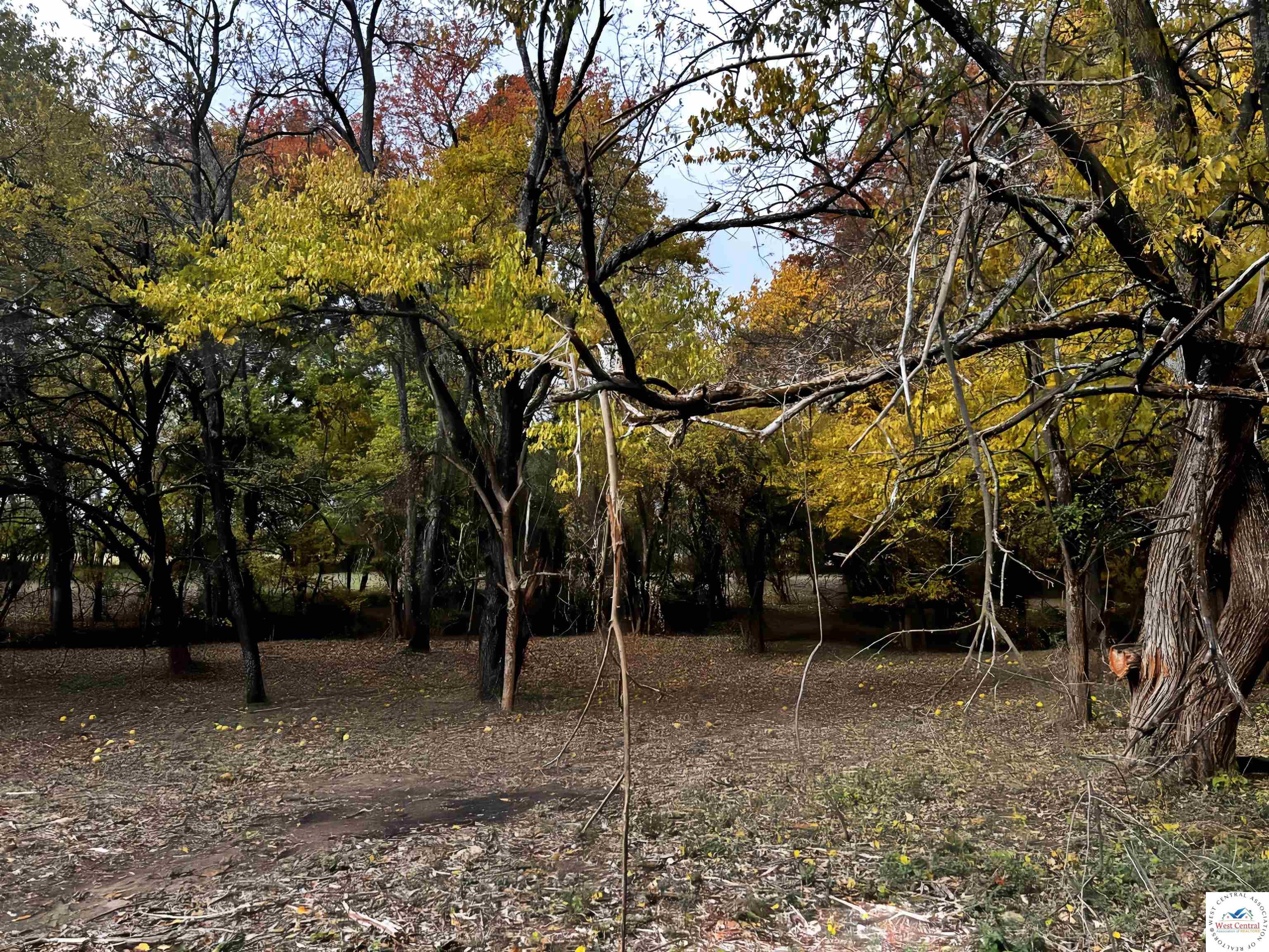 Land in Clinton 3