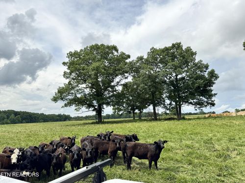 0 Old Bean Shed, 34acres Rd, Clarkrange, TN, 38553 | Card Image