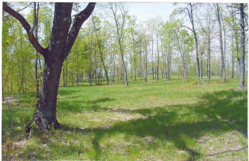 22 Greenfields Way S., Dunlap, TN, 37327 | Card Image