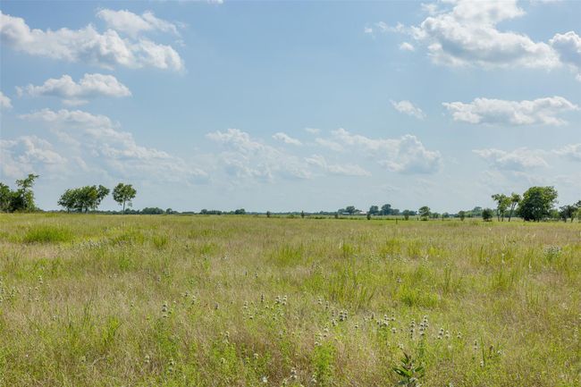 317 Memory Ln, Home with 0 bedrooms, 0 bathrooms and null parking in Burton TX | Image 13