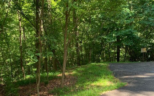 LOT21 Bryant Cove Rd, Blairsville, GA, 30512 | Card Image