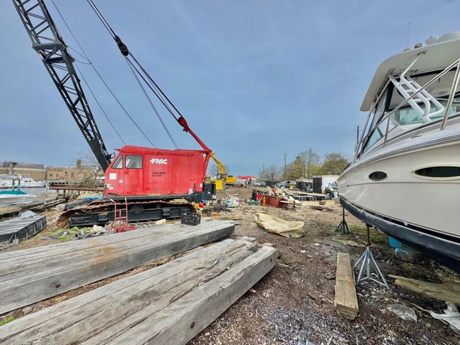 View of yard | Image 15