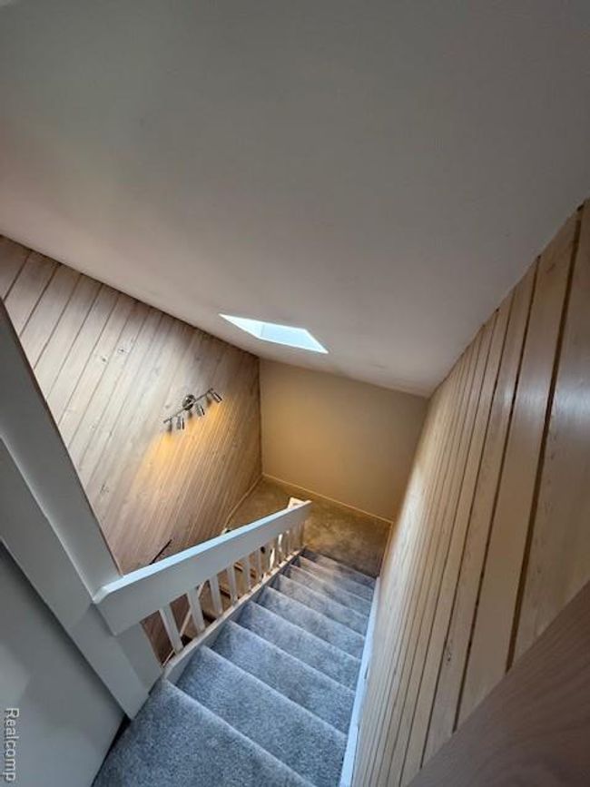 Staircase featuring a skylight, wooden walls, and carpet | Image 20