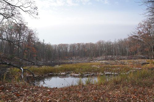 0 County Rd W, Weyerhaeuser, WI, 54895 | Card Image