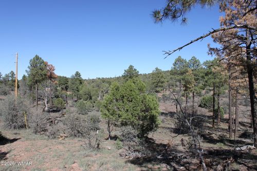 1663 Cactus Flower Rd, Show Low, AZ, 85901 | Card Image