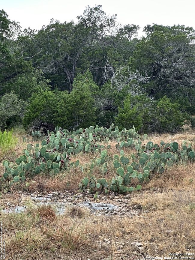 00 Comanche Path, Home with 0 bedrooms, 0 bathrooms and null parking in Bandera TX | Image 4