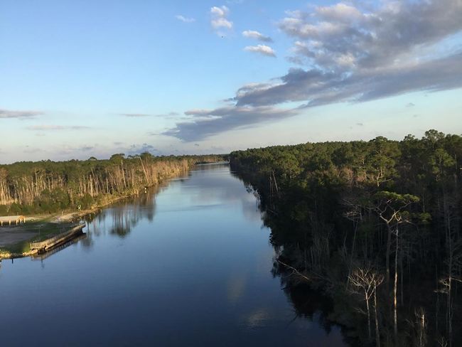 2771 S Highway 71, Home with 0 bedrooms, 0 bathrooms and null parking in Wewahitchka FL | Image 25