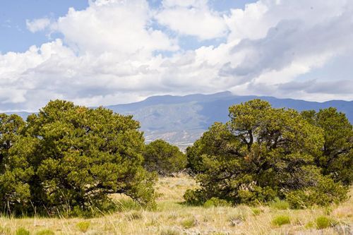 46 & 47 Colorado Land And Grazing, Gardner, CO, 81040 | Card Image