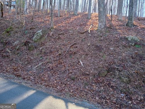 m214-LT M214 Walnut Rdg, Ellijay, GA, 30536 | Card Image