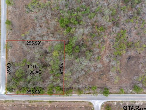 Lot 1 Tatum Rd, Martindale, TX, 78655 | Card Image
