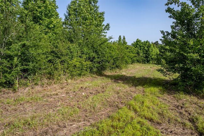 0 Johnson Rd, Home with 0 bedrooms, 0 bathrooms and null parking in Winona TX | Image 40